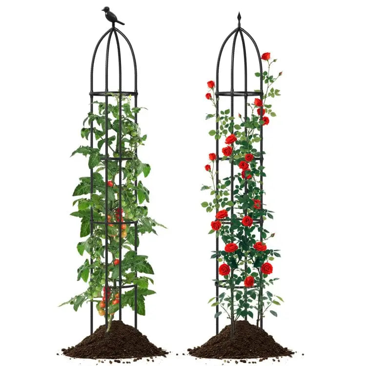 Metal Garden Arch and Obelisk Trellis Set for Climbing Plants - Garden
