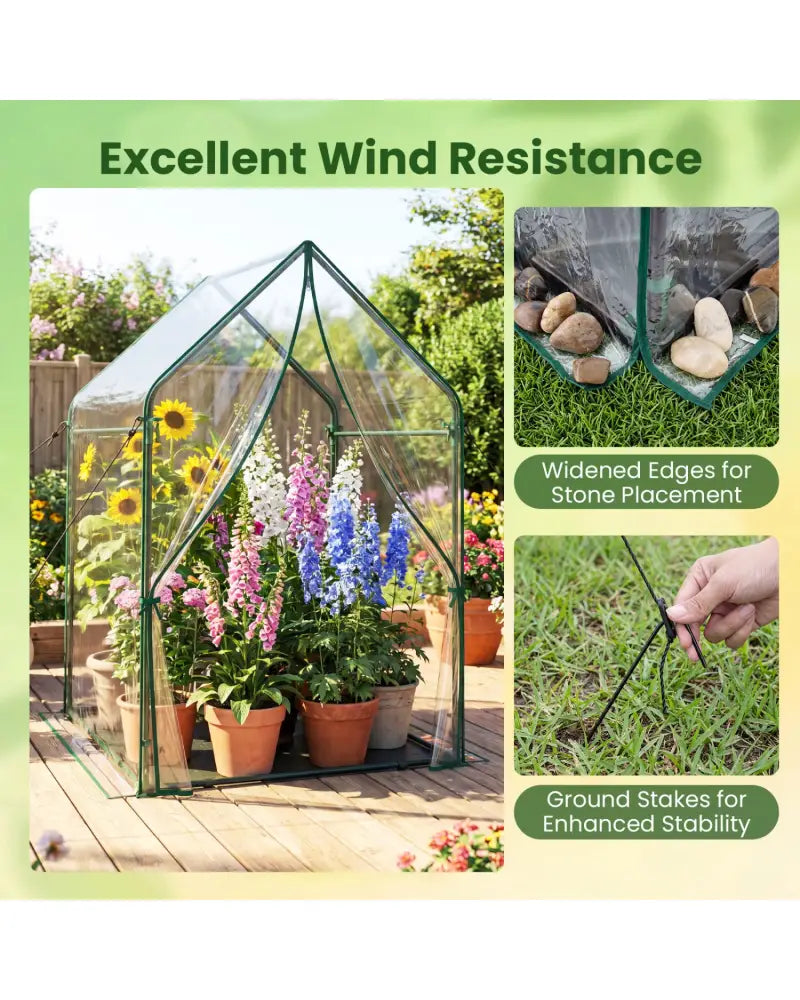 Mini Green House Metal Frame with Waterproof Bottom Mat and Wind Ropes-L - Transparent - Greenhouses