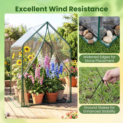 Mini Green House Metal Frame with Waterproof Bottom Mat and Wind Ropes-L - Transparent - Greenhouses