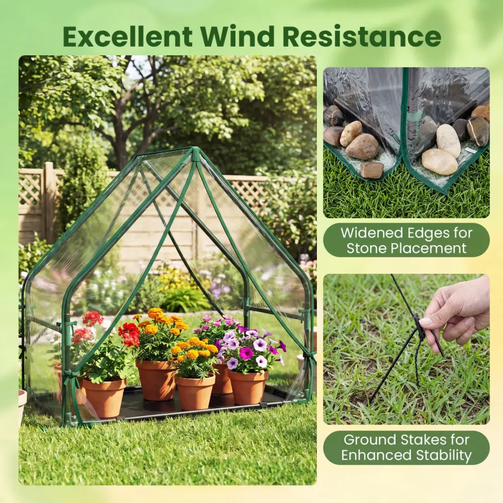 Mini Green House Metal Frame with Waterproof Bottom Mat and Wind Ropes-S - Transparent - Greenhouses