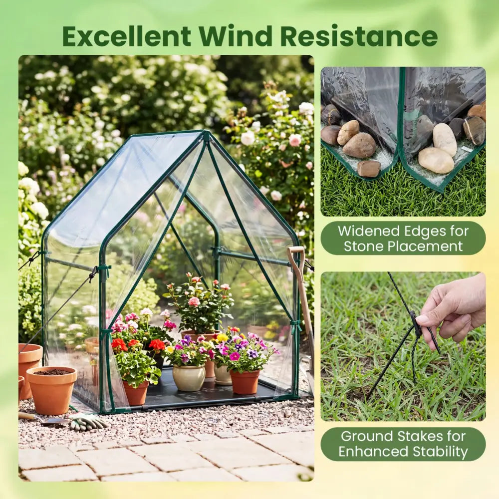 Mini Green House Metal Frame with Waterproof Bottom Mat and Wind Ropes-M - Transparent - Greenhouses
