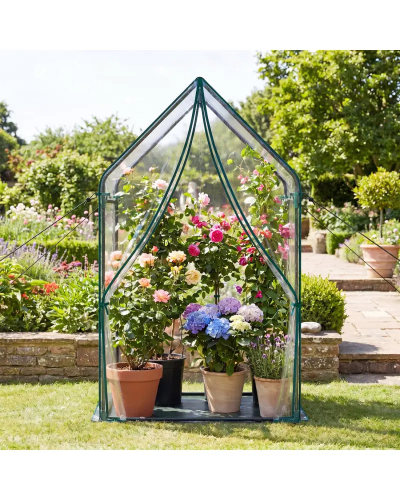 Mini Green House Metal Frame with Waterproof Bottom Mat and Wind Ropes-L - Transparent - Greenhouses