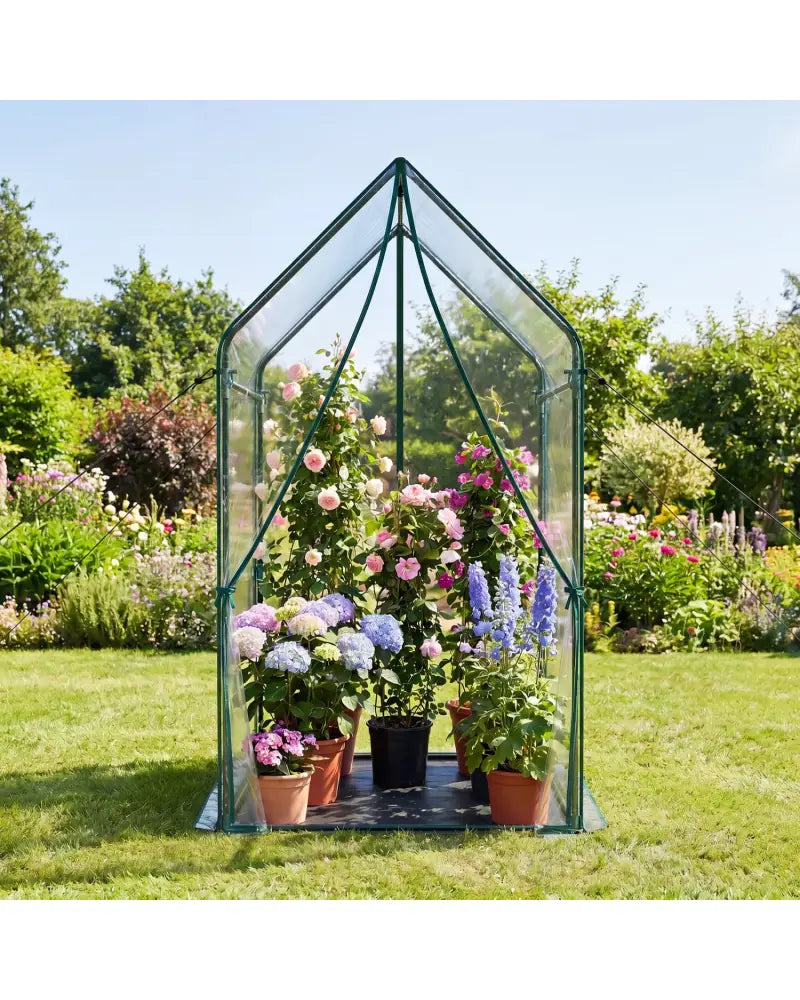 Mini Green House Metal Frame with Waterproof Bottom Mat and Wind Ropes-XL - Transparent - Greenhouses