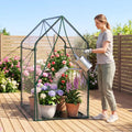 Mini Green House Metal Frame with Waterproof Bottom Mat and Wind Ropes-XL - Transparent - Greenhouses