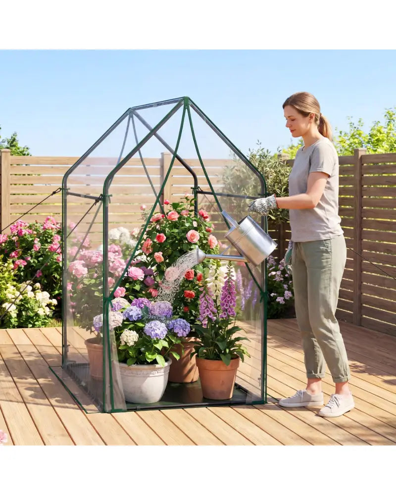 Mini Green House Metal Frame with Waterproof Bottom Mat and Wind Ropes-XL - Transparent - Greenhouses