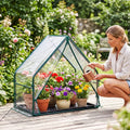 Mini Green House Metal Frame with Waterproof Bottom Mat and Wind Ropes-S - Transparent - Greenhouses