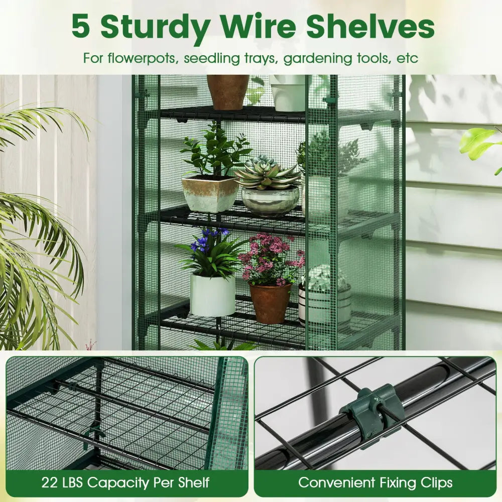 Mini Greenhouse Portable Plant Grow House with 5 Tier Shelves-Green - Green - Greenhouses