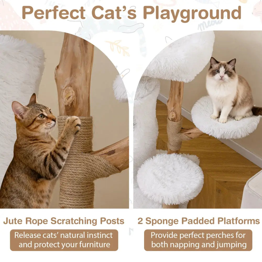 Modern Cat Tree for Indoor Cats 30.5 Cat Tower with Real Solid Wood Branches-White - White - Cat Trees Condos &