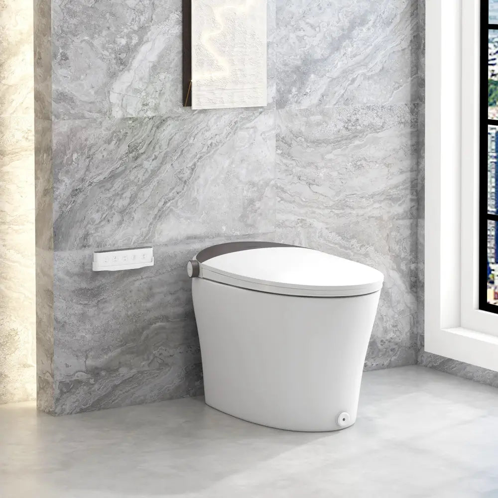 One-Piece Smart 1.16 GPF Elongated Bidet Toilet Seat with Night Light-White - White - Toilet