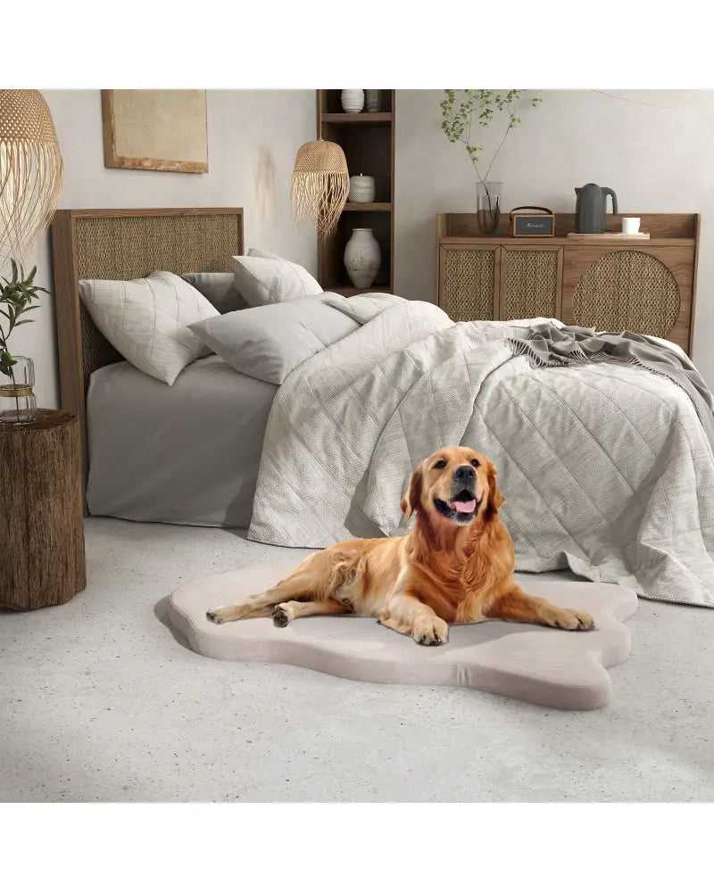 Orthopedic Dog Bed with Memory Foam Support for Large Dogs-Beige - Beige - Dog Supplies