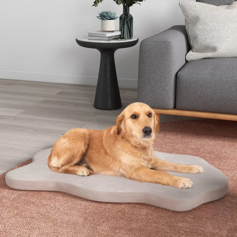 Orthopedic Dog Bed with Memory Foam Support for Large Dogs-Beige - Beige - Dog Supplies
