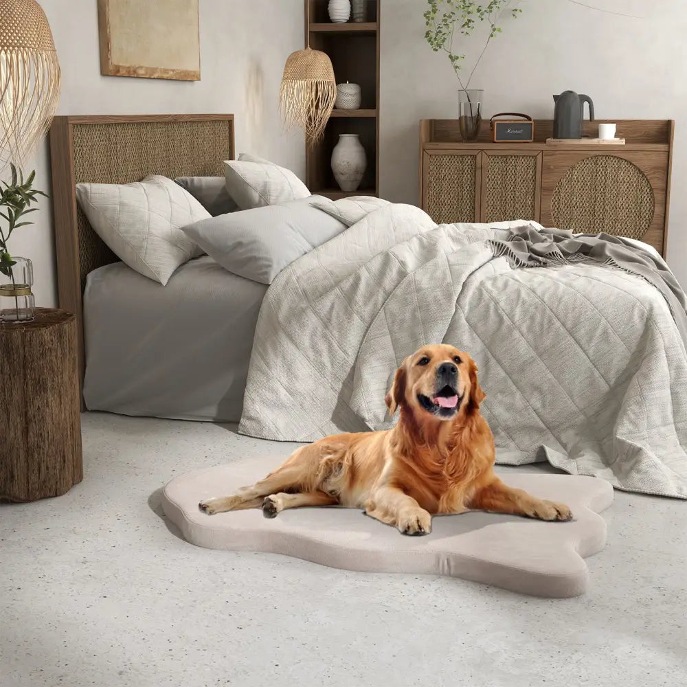 Orthopedic Dog Bed with Memory Foam Support for Large Dogs-Beige - Beige - Dog Supplies