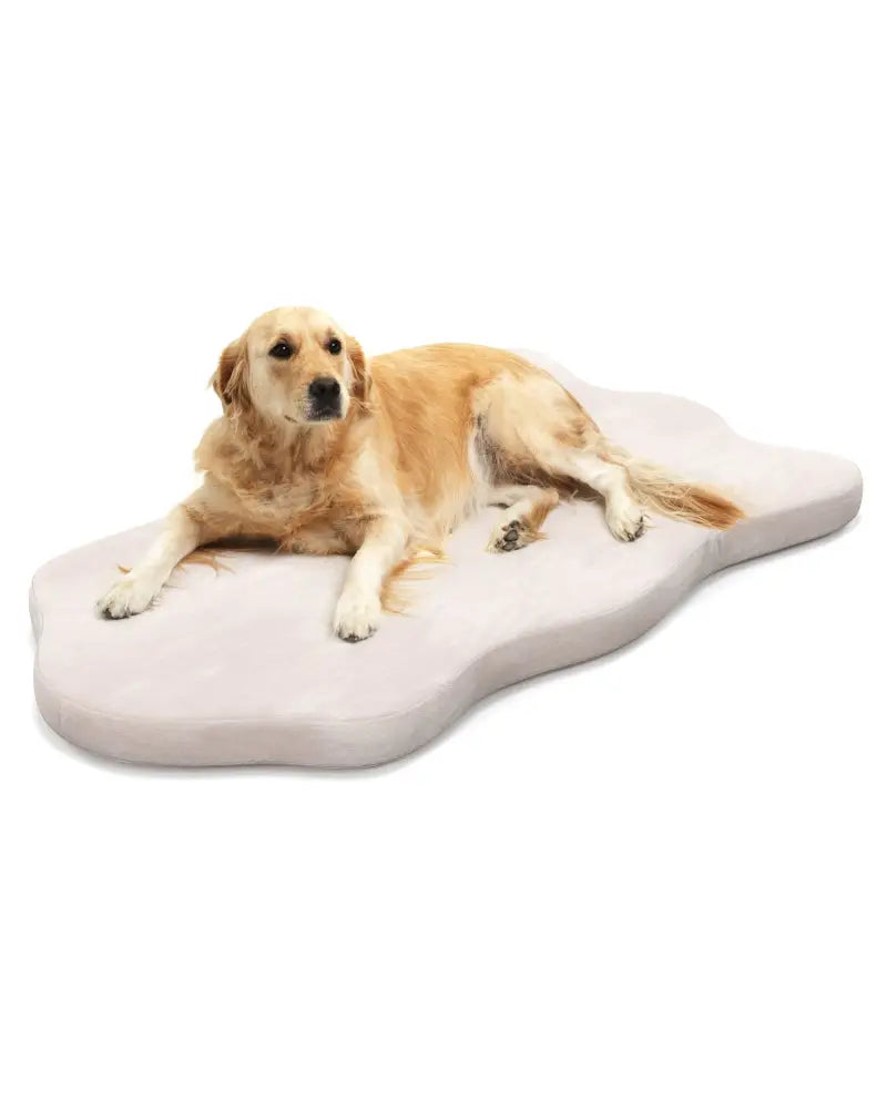 Orthopedic Dog Bed with Memory Foam Support for Large Dogs-Beige - Beige - Dog Supplies