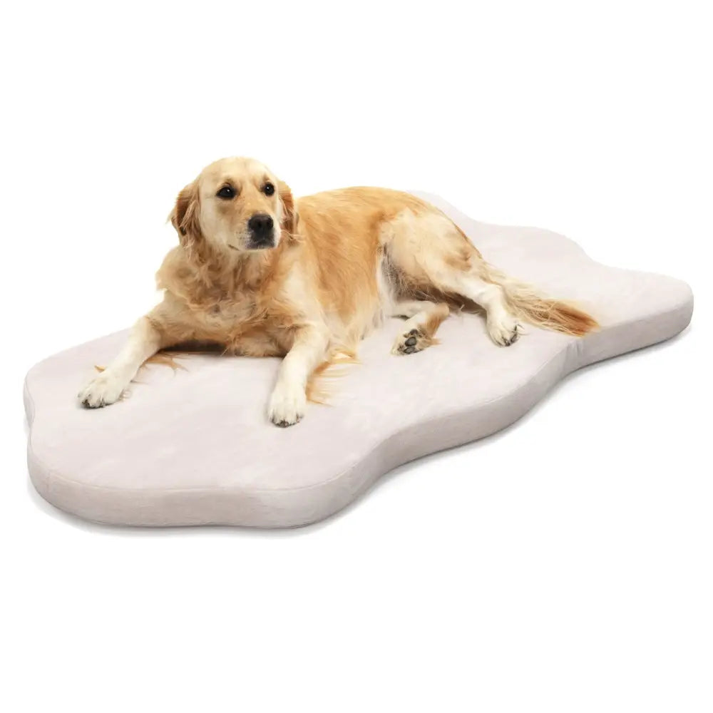 Orthopedic Dog Bed with Memory Foam Support for Large Dogs-Beige - Beige - Dog Supplies