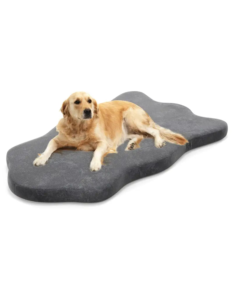Orthopedic Dog Bed with Memory Foam Support for Large Dogs-Gray - Gray - Dog Supplies