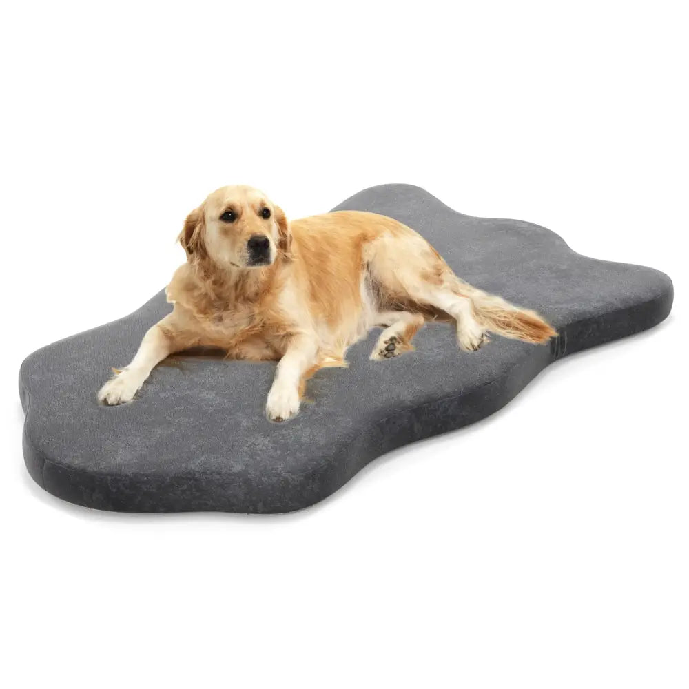 Orthopedic Dog Bed with Memory Foam Support for Large Dogs-Gray - Gray - Dog Supplies