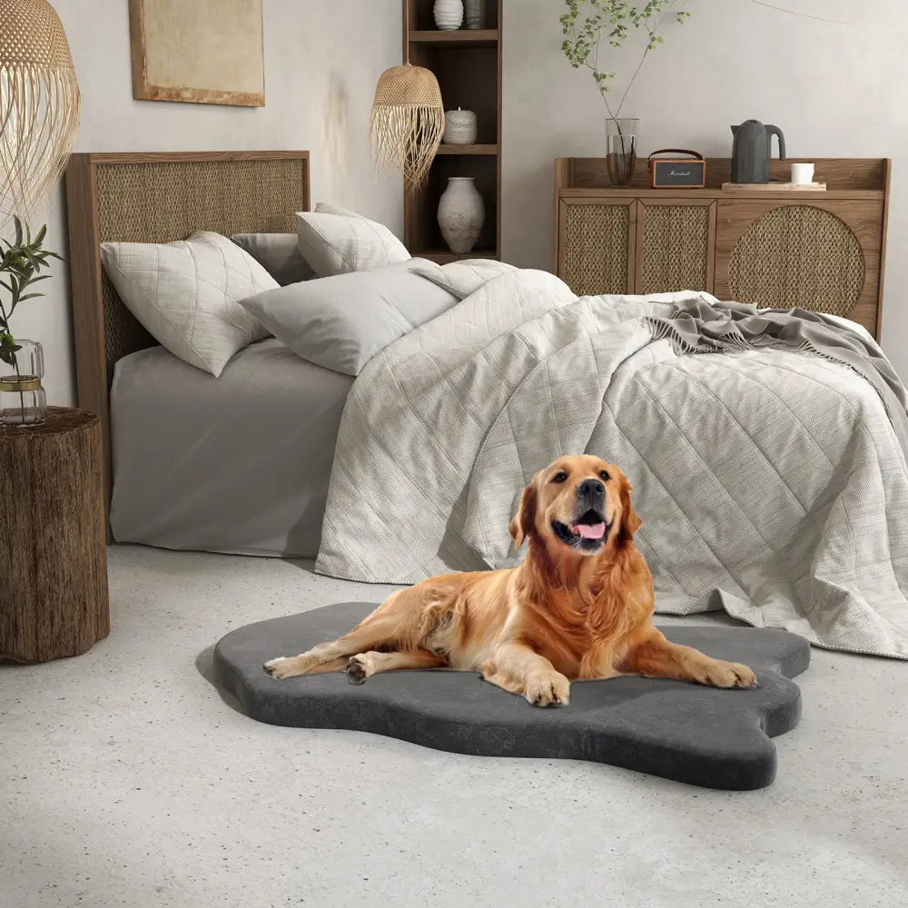 Orthopedic Dog Bed with Memory Foam Support for Large Dogs-Gray - Gray - Dog Supplies