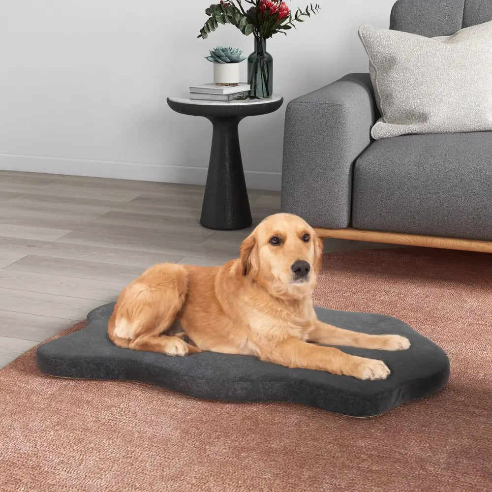 Orthopedic Dog Bed with Memory Foam Support for Large Dogs-Gray - Gray - Dog Supplies