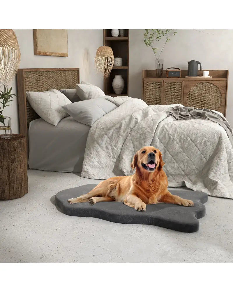 Orthopedic Dog Bed with Memory Foam Support for Large Dogs-Gray - Gray - Dog Supplies