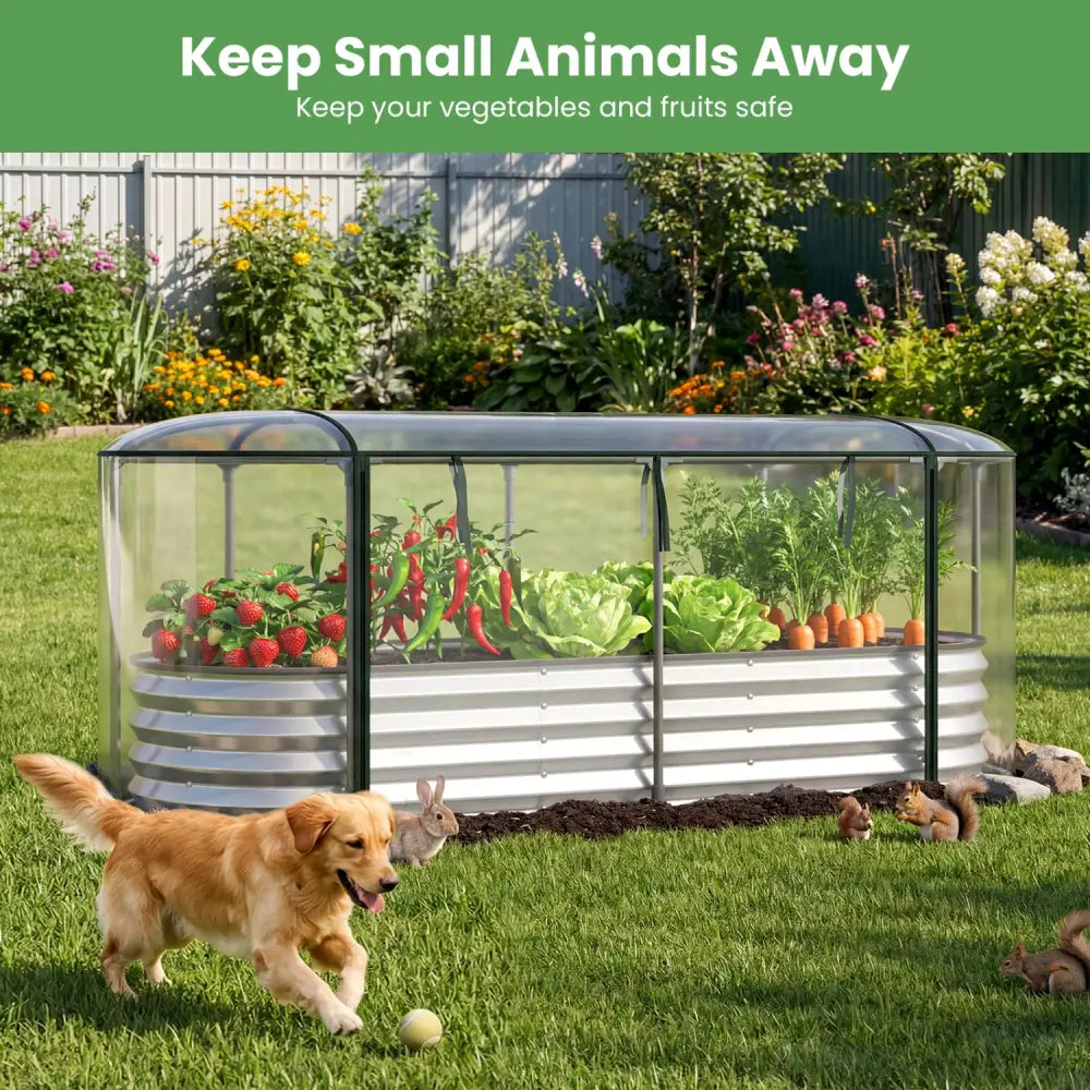 Outdoor Color Steel Raised Garden Bed with Greenhouse Cover Roll-up Window-Silver - Silver - Raised Garden Beds