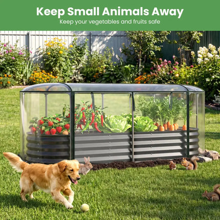 Outdoor Color Steel Raised Garden Bed with Greenhouse Cover Roll-up Window-Black - Black - Raised Garden Beds