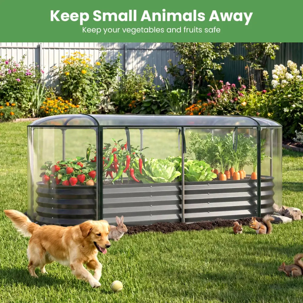 Outdoor Color Steel Raised Garden Bed with Greenhouse Cover Roll-up Window-Black - Black - Raised Garden Beds