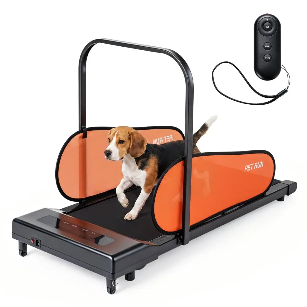 Pet Treadmill for Small & Medium Dogs with LED Display and Adjustable Speed-Black - Black - Dog Supplies