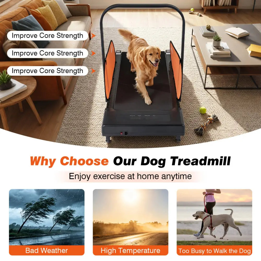 Pet Treadmill for Small & Medium Dogs with LED Display and Adjustable Speed-Black - Black - Dog Supplies