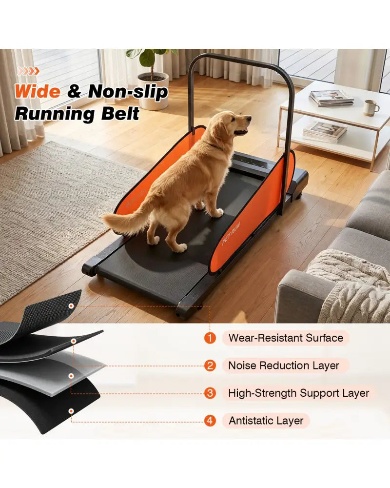 Pet Treadmill for Small & Medium Dogs with LED Display and Adjustable Speed-Black - Black - Dog Supplies