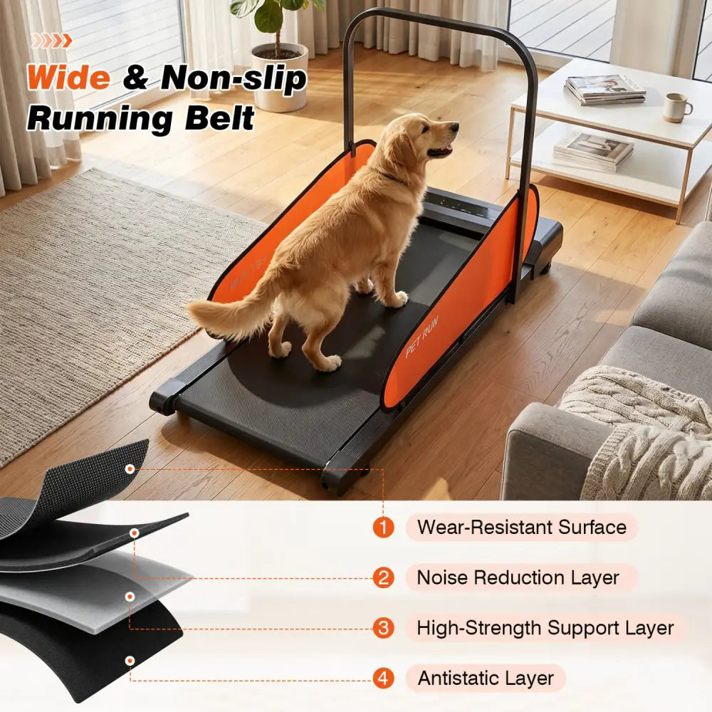 Pet Treadmill for Small & Medium Dogs with LED Display and Adjustable Speed-Black - Black - Dog Supplies