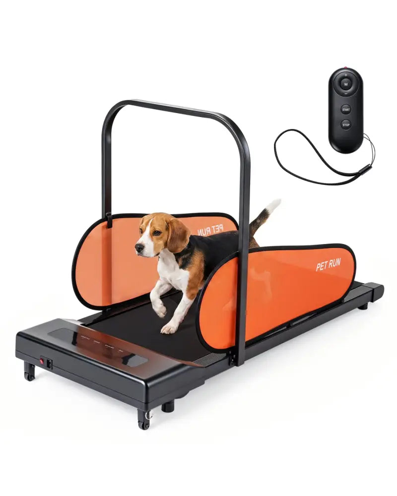 Pet Treadmill for Small & Medium Dogs with LED Display and Adjustable Speed-Black - Black - Dog Supplies