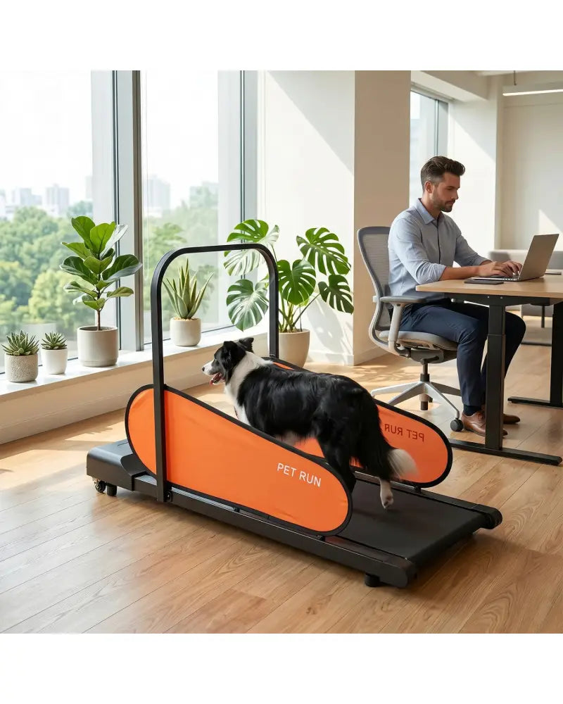Pet Treadmill for Small & Medium Dogs with LED Display and Adjustable Speed-Black - Black - Dog Supplies