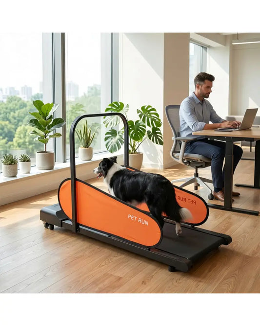 Pet Treadmill for Small & Medium Dogs with LED Display and Adjustable Speed-Black - Black - Dog Supplies