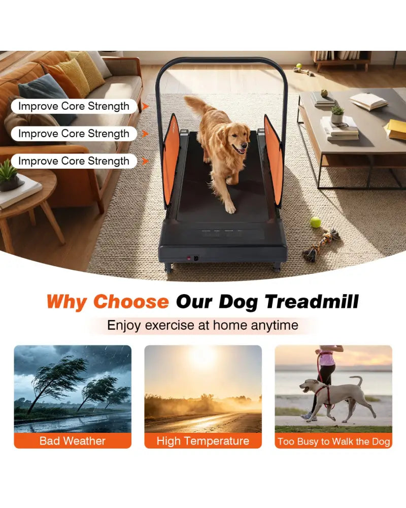 Pet Treadmill for Small & Medium Dogs with LED Display and Adjustable Speed-Black - Black - Dog Supplies