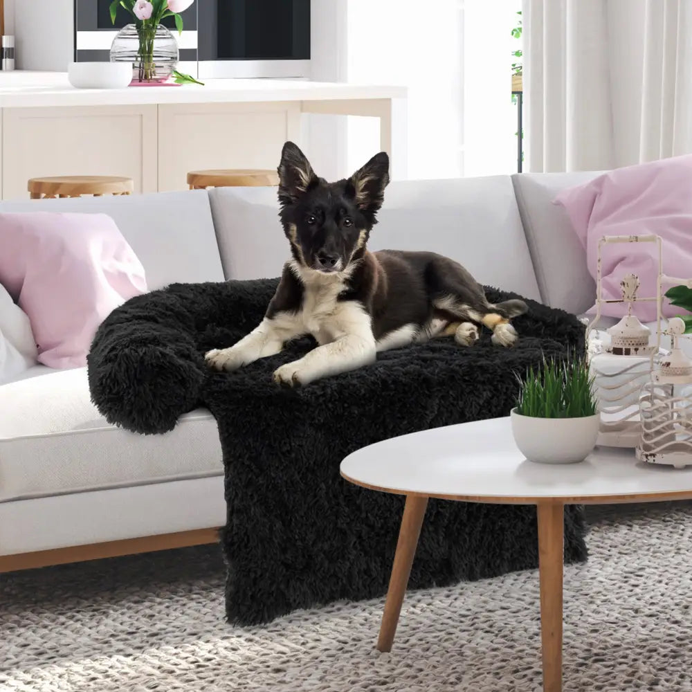 Plush Calming Dog Couch Bed with Anti-Slip Bottom-M - Black - Dog Supplies