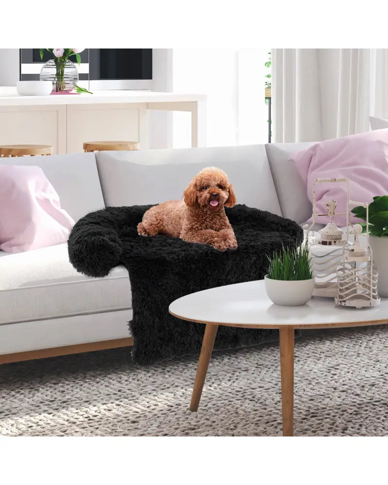 Plush Calming Dog Couch Bed with Anti-Slip Bottom-S - Black - Dog Supplies