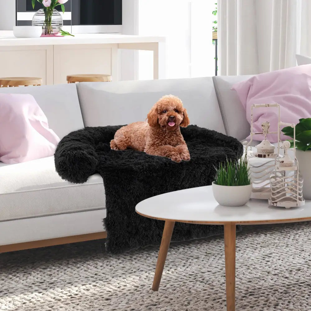 Plush Calming Dog Couch Bed with Anti-Slip Bottom-S - Black - Dog Supplies