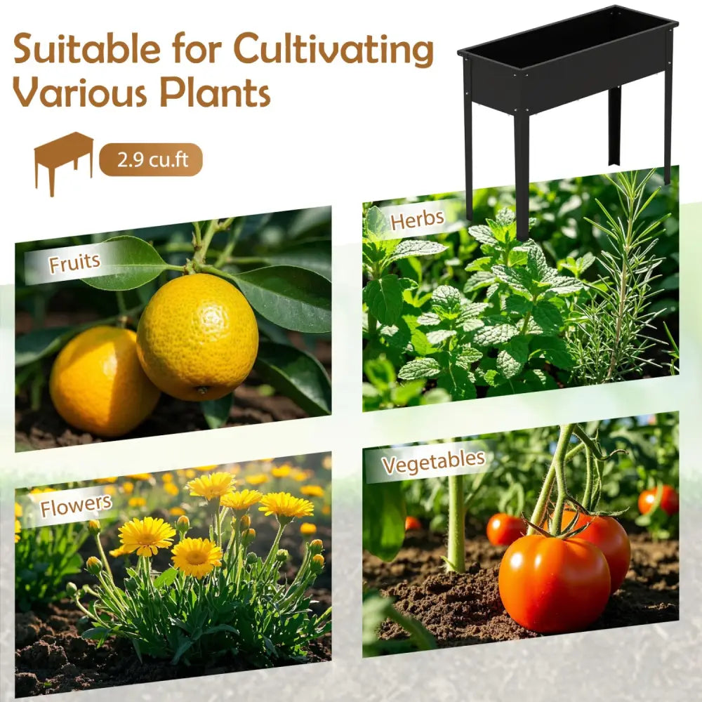 Raised Garden Bed Elevated Metal Planter Box with Legs Drainage Holes-M - Black - Raised Garden Beds