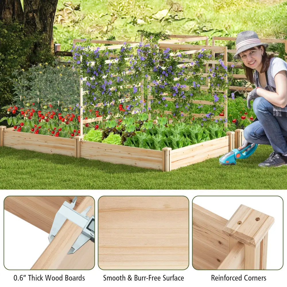 Raised Garden Bed with 2 Planter Boxes and 3 Trellis-Natural - Natural - Raised Garden Beds