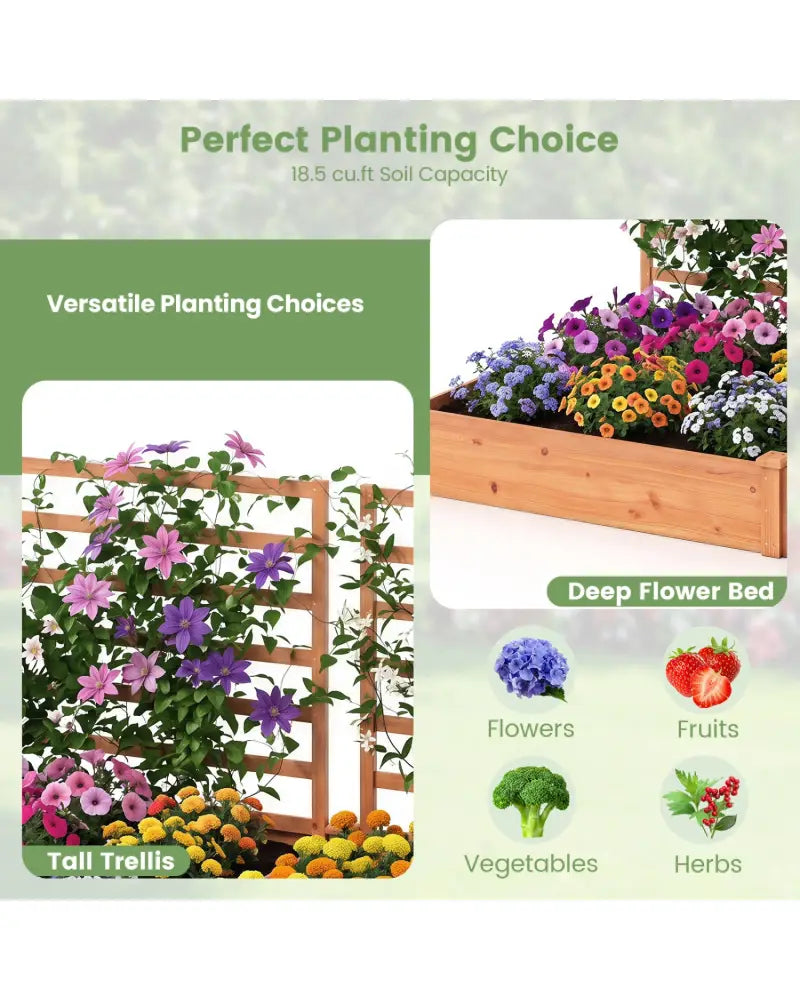 Raised Garden Bed with 2 Planter Boxes and 3 Trellis-Oak - Oak - Raised Garden Beds