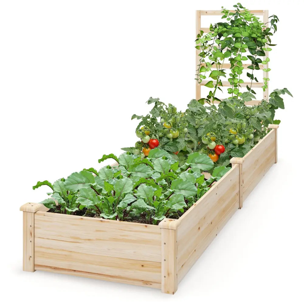 Raised Garden Bed with Planter Box and Trellis-Natural - Natural - Raised Garden Beds