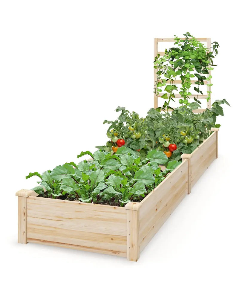 Raised Garden Bed with Planter Box and Trellis-Natural - Natural - Raised Garden Beds