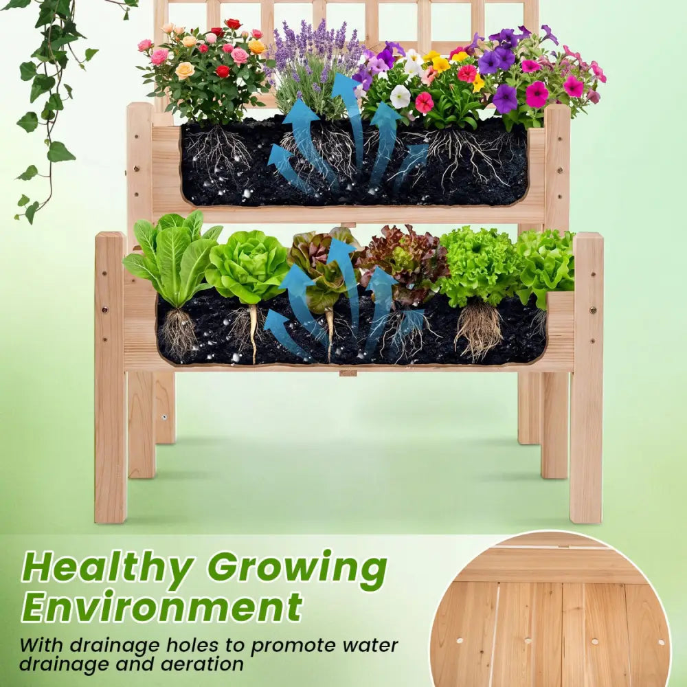 Raised Garden Bed with Trellis 2-Tier for Outdoor Climbing Plants-Natural - Natural - Raised Garden Beds