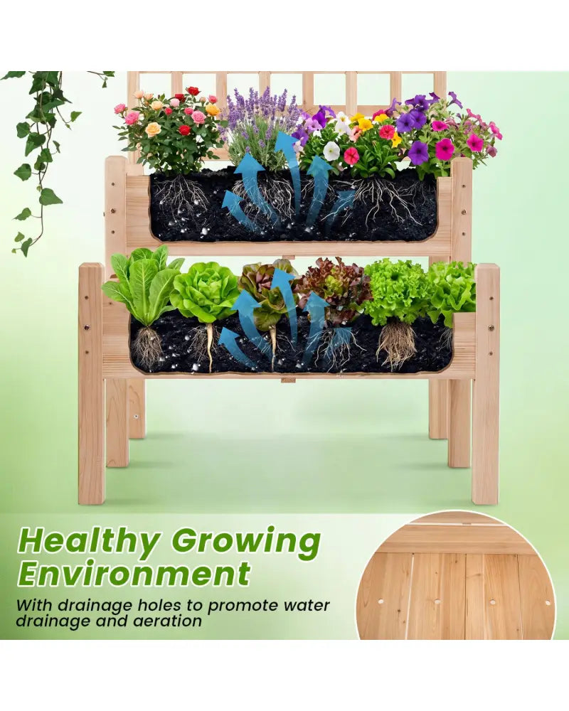 Raised Garden Bed with Trellis 2-Tier for Outdoor Climbing Plants-Natural - Natural - Raised Garden Beds