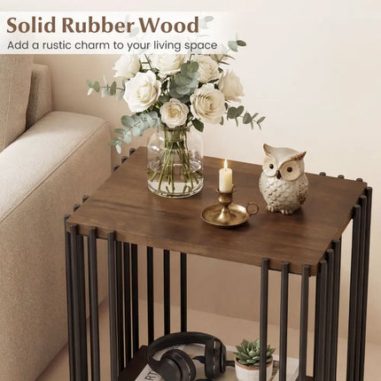 Rubber Wood Side Table Set of 2 with 2-Layer Storage Shelves and Metal Frame-Walnut - Walnut - End & Side Tables