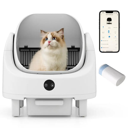 Self - Cleaning Open Cat Litter Box for Multi - Cat and Senior Cats Home - Oasis Home Essentials