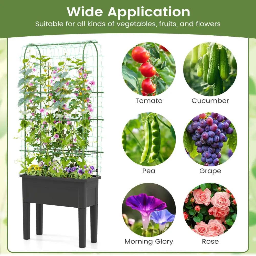 Self-watering Raised Garden Bed Elevated Planter with Climbing Trellis-Black - Gray - Raised Garden Beds