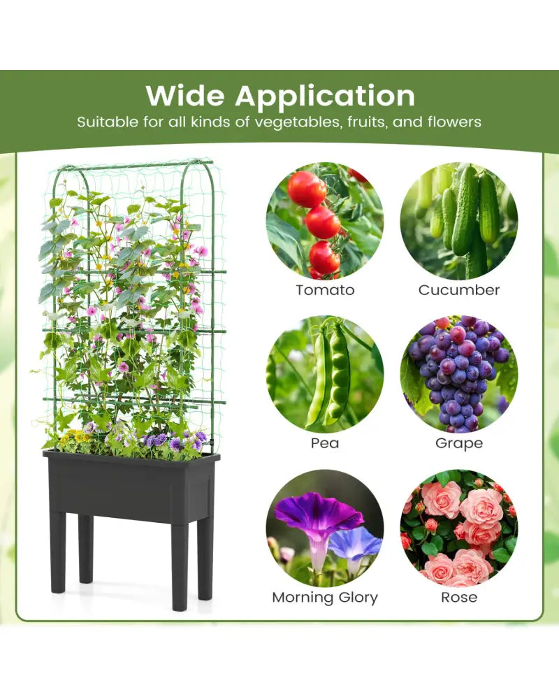 Self-watering Raised Garden Bed Elevated Planter with Climbing Trellis-Black - Gray - Raised Garden Beds