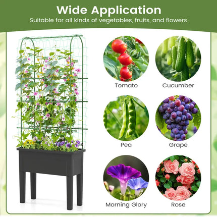 Self-watering Raised Garden Bed Elevated Planter with Climbing Trellis-Black - Gray - Raised Garden Beds