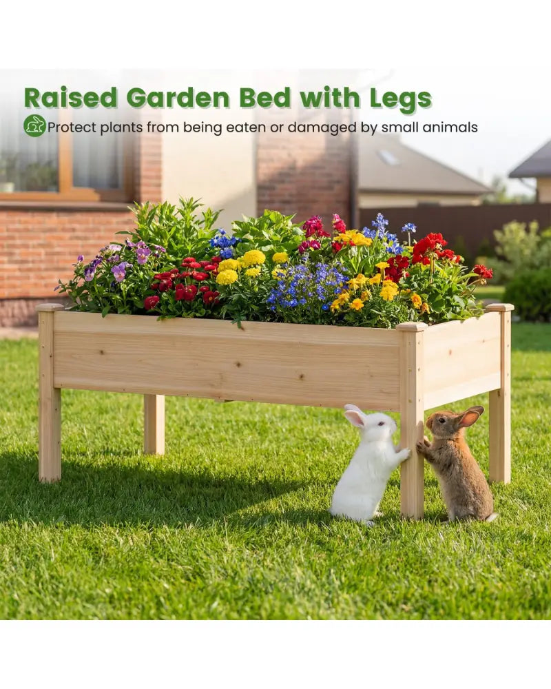 Set of 1 Wooden Raised Garden Bed with Legs Natural Fir Wood Elevated Planter Box - Natural - Raised Garden Beds